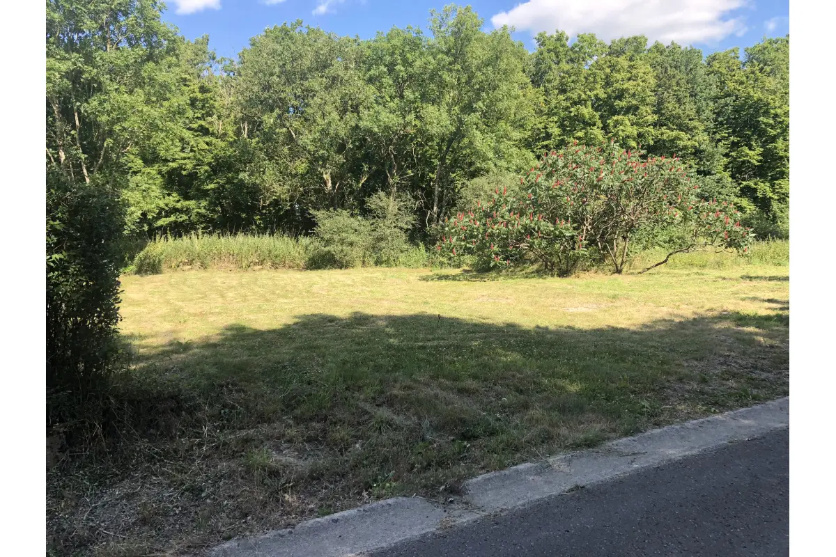 Terrain à bâtir à vendre à Noiseux 5377 45000.00€  chambres m² - annonce 552850