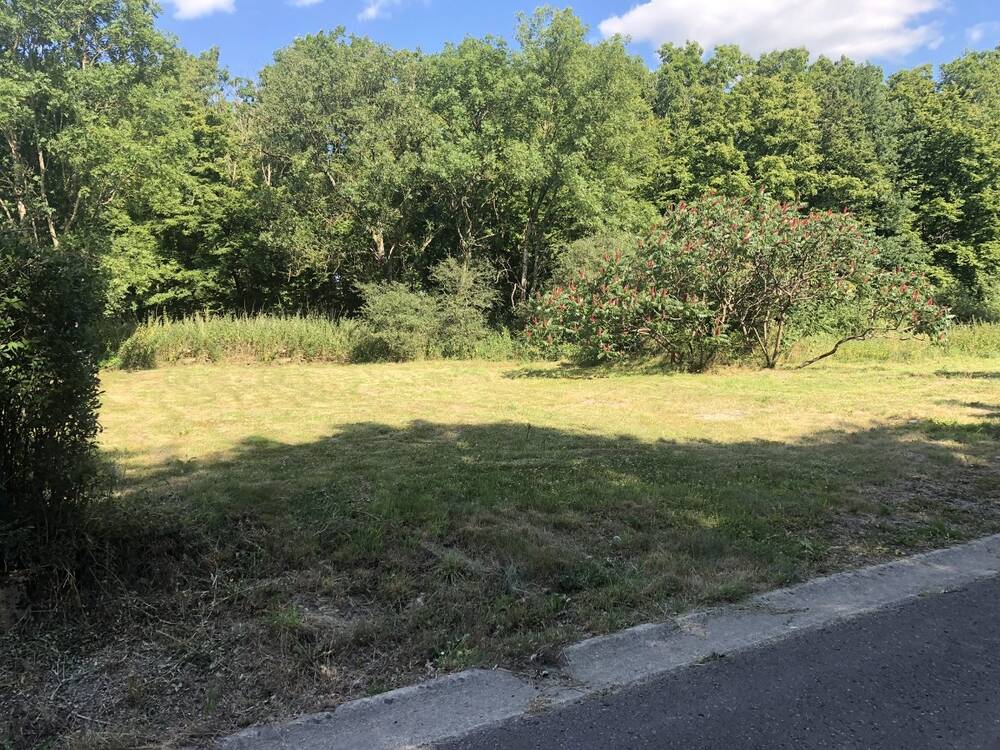Terrain à bâtir à vendre à Noiseux 5377 45000.00€  chambres m² - annonce 552850