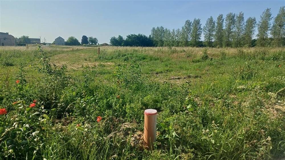 Terrain à bâtir à vendre à Evelette 5350 59000.00€  chambres m² - annonce 552385