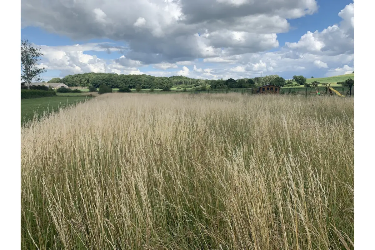 Terrain à vendre à Doische 5680 60000.00€  chambres m² - annonce 616629