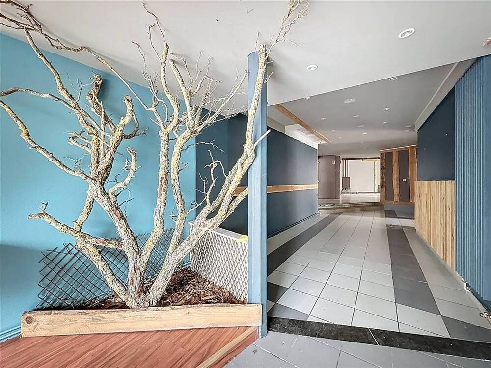 Commerce à louer à Ciney 5590 1500.00€ chambres m² - annonce 557970