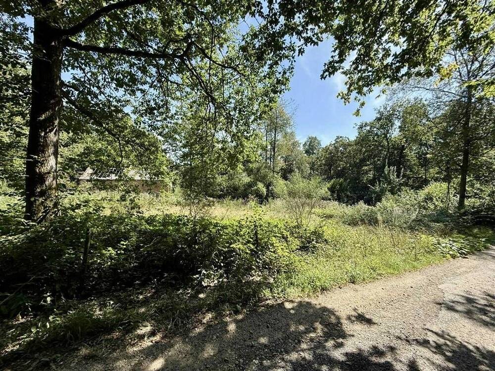 Terrain à vendre à Morville 5620 160000.00€  chambres m² - annonce 558276