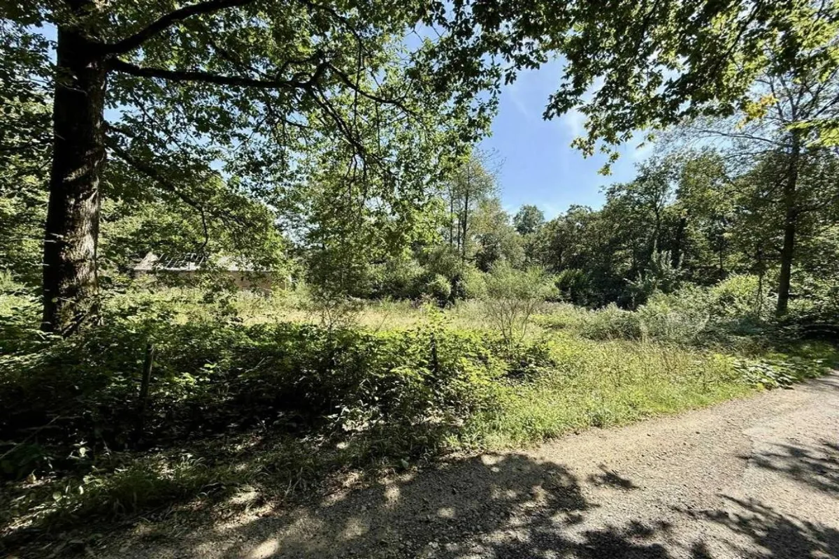 Terrain à vendre à Morville 5620 140000.00€  chambres m² - annonce 558276