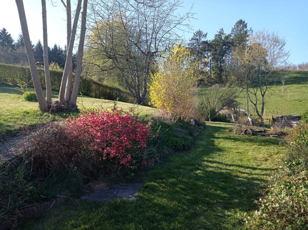 Terrain à vendre à Gesves 5340 125000.00€ chambres m² - annonce 563106