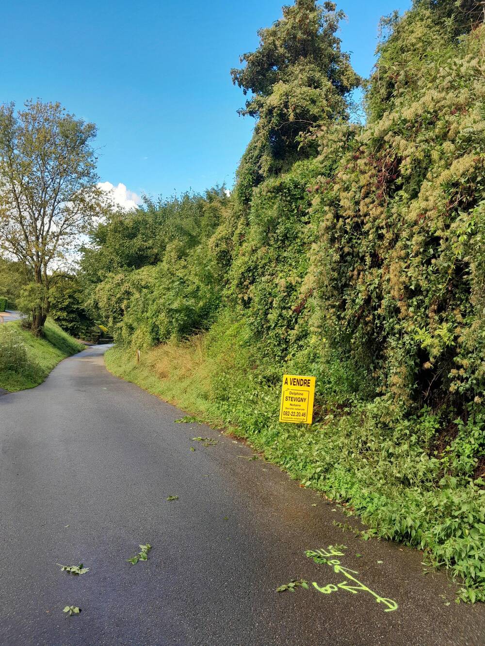 Terrain à bâtir à vendre à Dinant 5500 75000.00€  chambres m² - annonce 571031