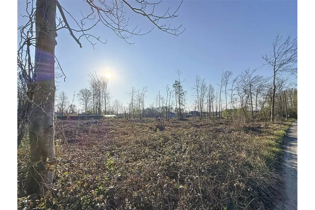 Terrain à vendre à Florennes 5620 50000.00€  chambres m² - annonce 573758