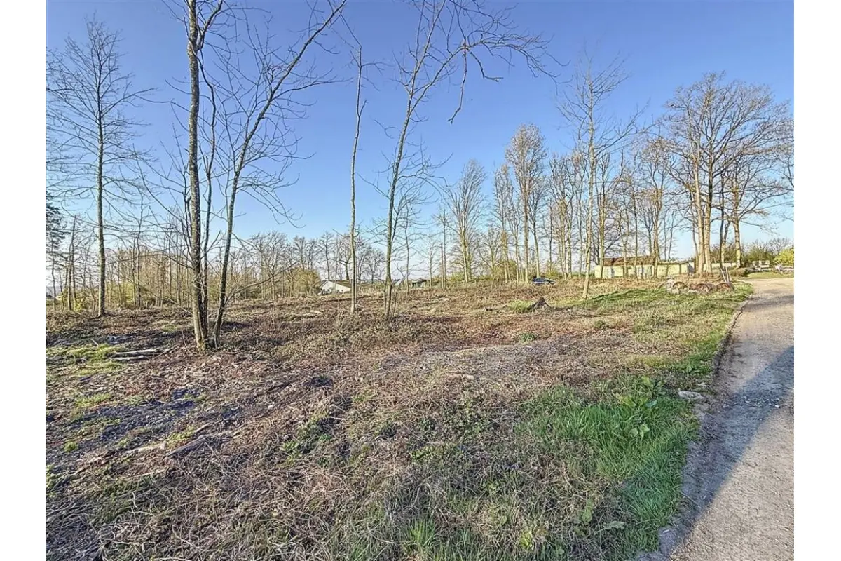 Terrain à vendre à Florennes 5620 60000.00€  chambres m² - annonce 573756