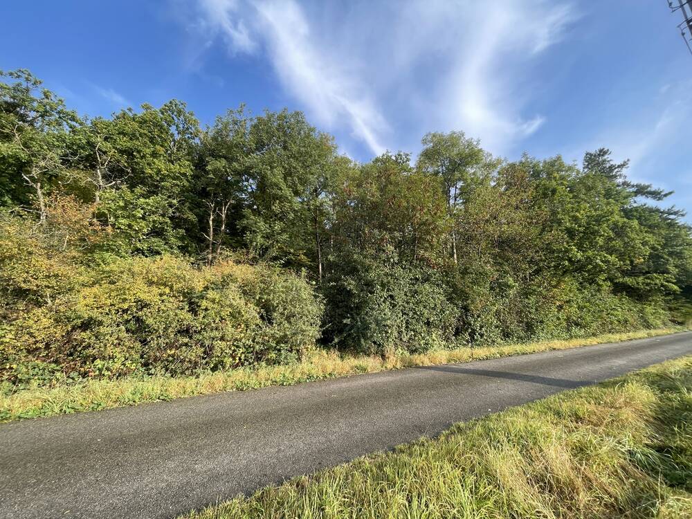 Terrain à vendre à Ciney 5590 120000.00€ chambres m² - annonce 574196