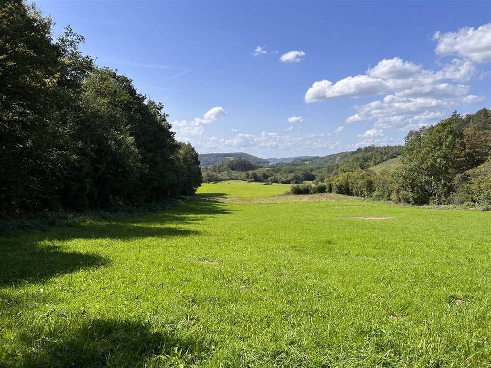 Terrain à vendre à Ave-et-Auffe 5580 40000.00€ chambres m² - annonce 576203