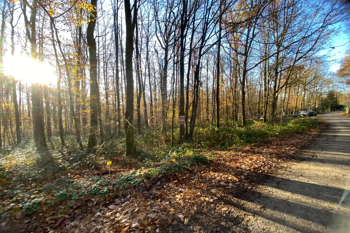 Terrain à vendre à Neuville 5600 35000.00€  chambres m² - annonce 590816