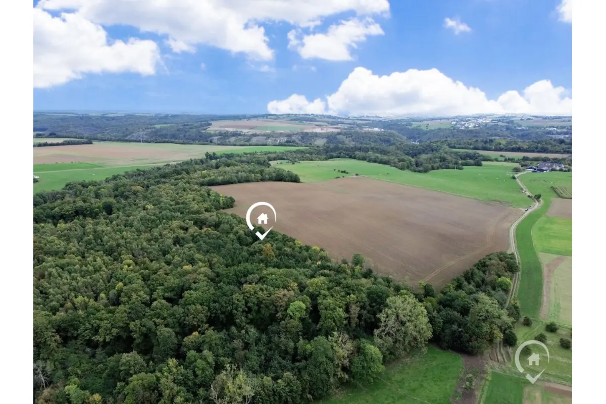 Terrain à vendre à Dinant 5500 125000.00€  chambres m² - annonce 591032