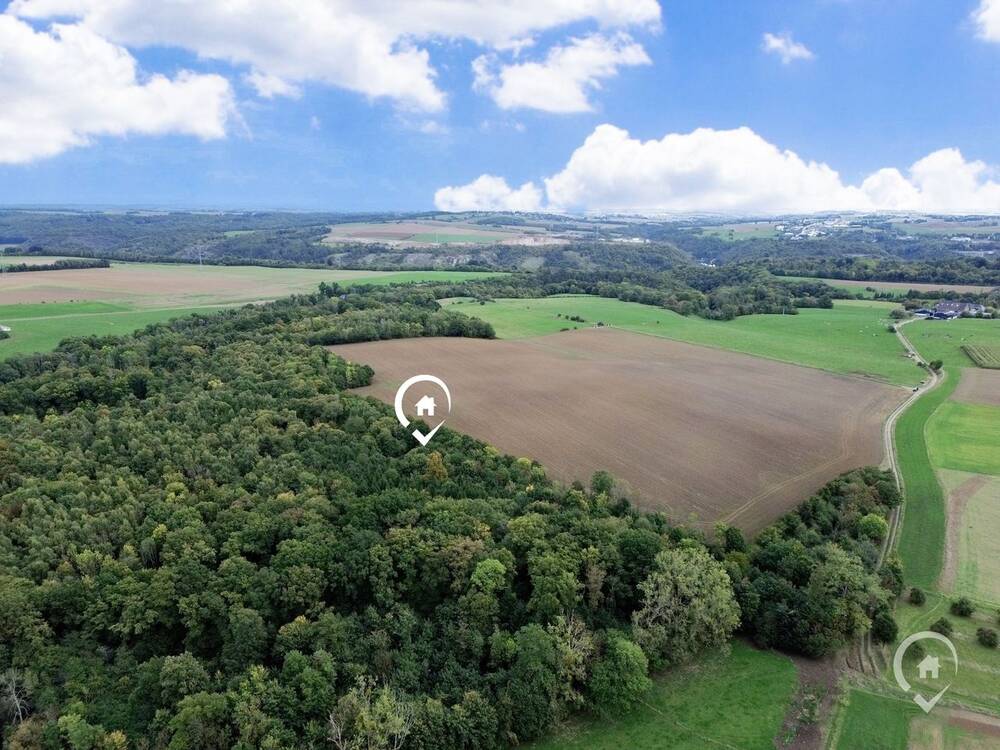 Terrain à vendre à Dinant 5500 125000.00€ chambres m² - annonce 591032