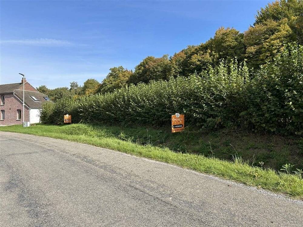 Terrain à vendre à Brûly-de-Pesche 5660 35000.00€ chambres m² - annonce 595651