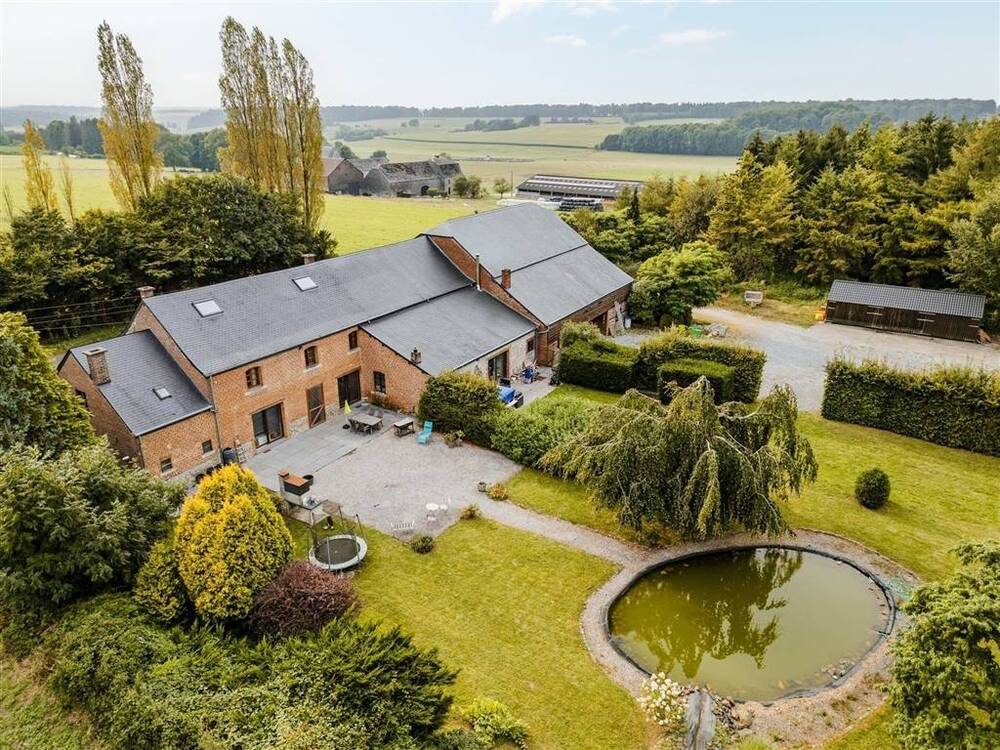 Commerce à vendre à Ciney 5590 1195000.00€ 9 chambres 556.00m² - annonce 595817
