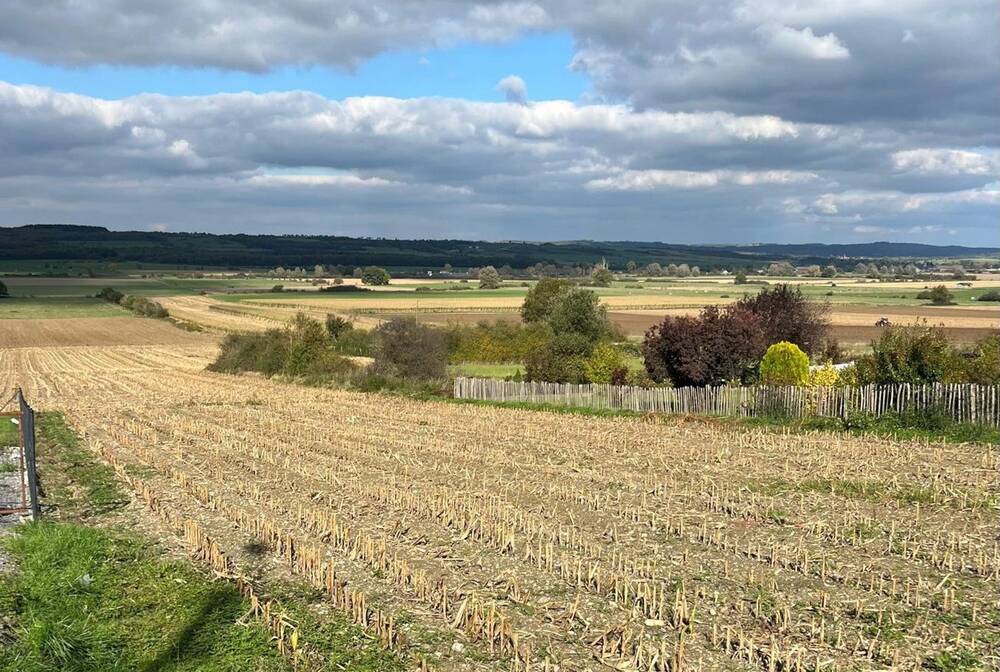 Terrain à vendre à Martouzin-Neuville 5573 115000.00€ chambres m² - annonce 602549