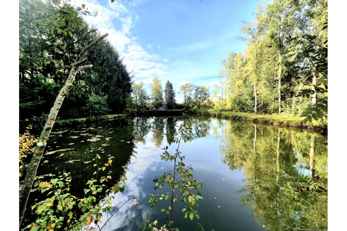 Terrain à vendre à Brûly 5660 75000.00€  chambres m² - annonce 604051