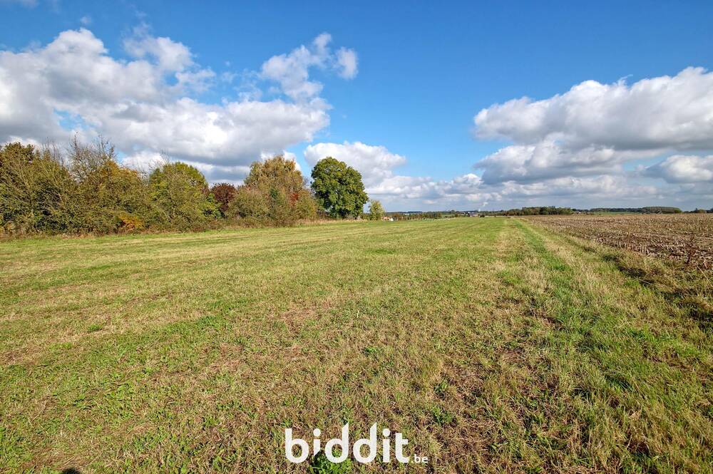Terrain non bâtissable à vendre à Haillot 5351 67000.00€ chambres m² - annonce 603873