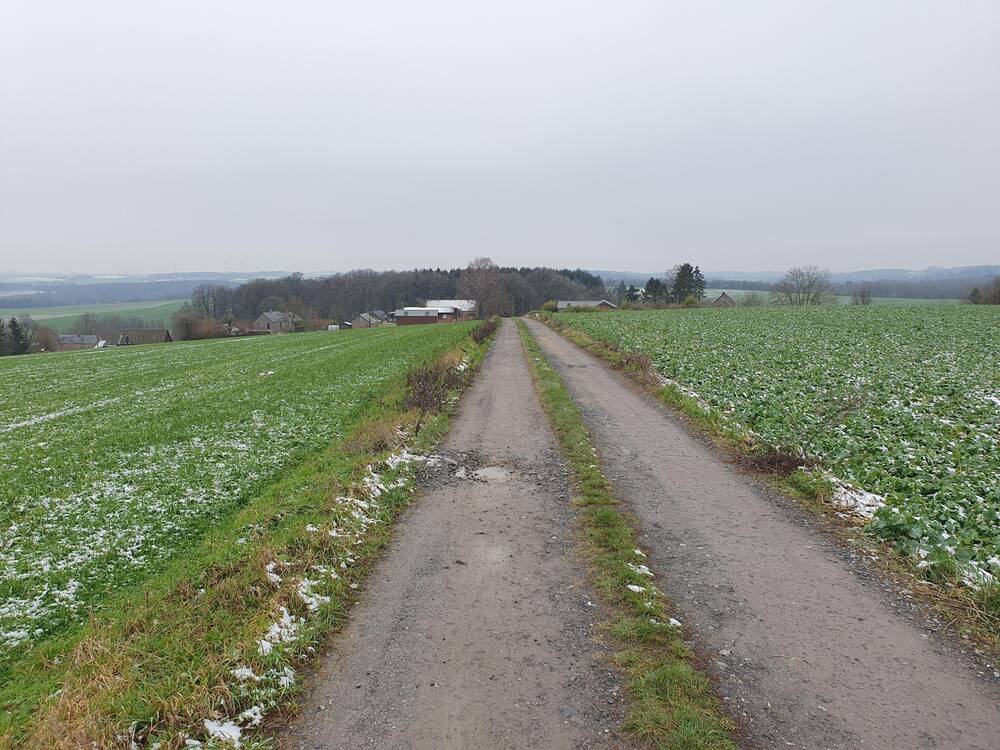 Terrain à vendre à Sovet 5590 800000.00€ chambres m² - annonce 603942