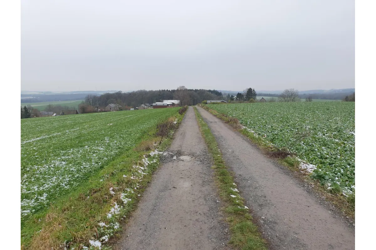 Terrain à vendre à Sovet 5590 800000.00€  chambres m² - annonce 603942