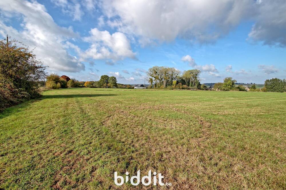 Terrain à vendre à Coutisse 5300 45000.00€ chambres m² - annonce 603869