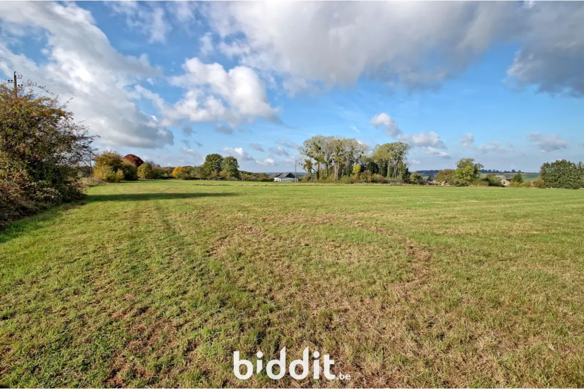 Terrain à vendre à Coutisse 5300 45000.00€  chambres m² - annonce 603869