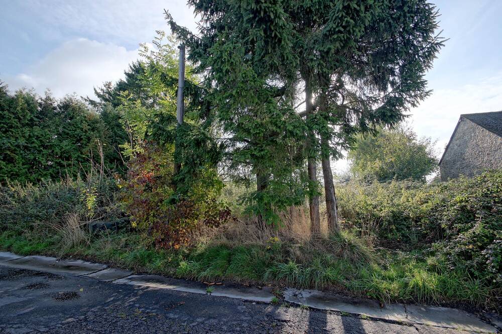 Terrain à vendre à Coutisse 5300 13000.00€ chambres m² - annonce 603800