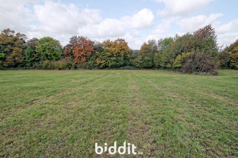 Terrain à vendre à Coutisse 5300 32000.00€ chambres m² - annonce 603870
