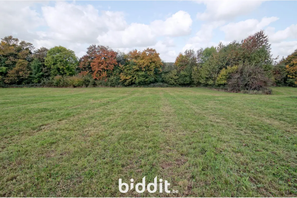 Terrain à vendre à Coutisse 5300 32000.00€  chambres m² - annonce 603870