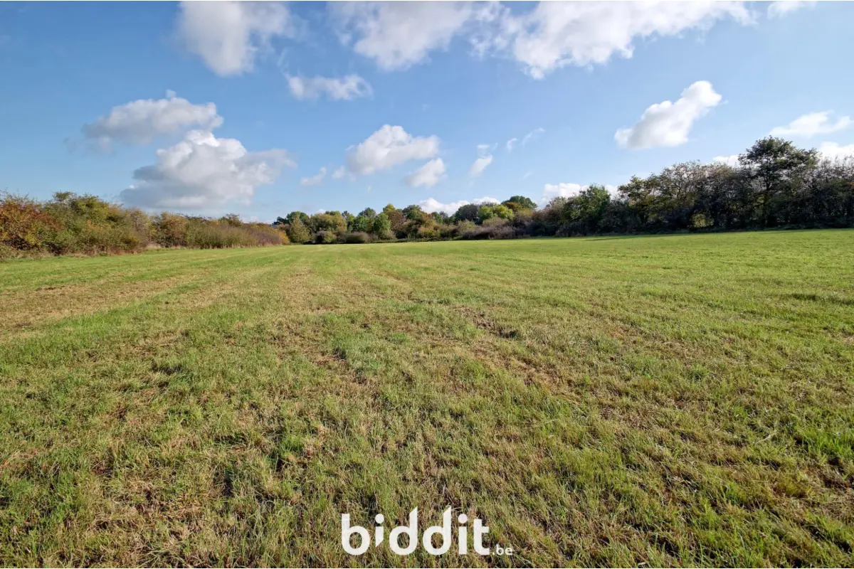 Terrain à vendre à Coutisse 5300 50000.00€  chambres m² - annonce 603872