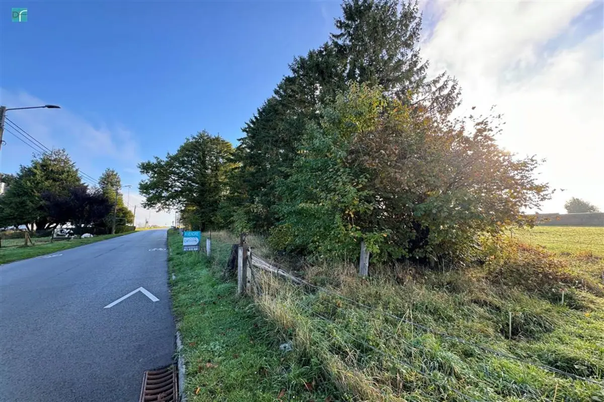 Terrain à  à Saint-Amand 6221 77500.00€  chambres m² - annonce 605834