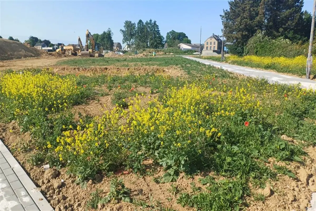 Terrain à bâtir à vendre à Eghezée 5310 205000.00€  chambres m² - annonce 609687