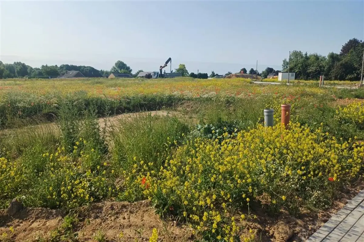 Terrain à bâtir à vendre à Eghezée 5310 185000.00€  chambres m² - annonce 609691