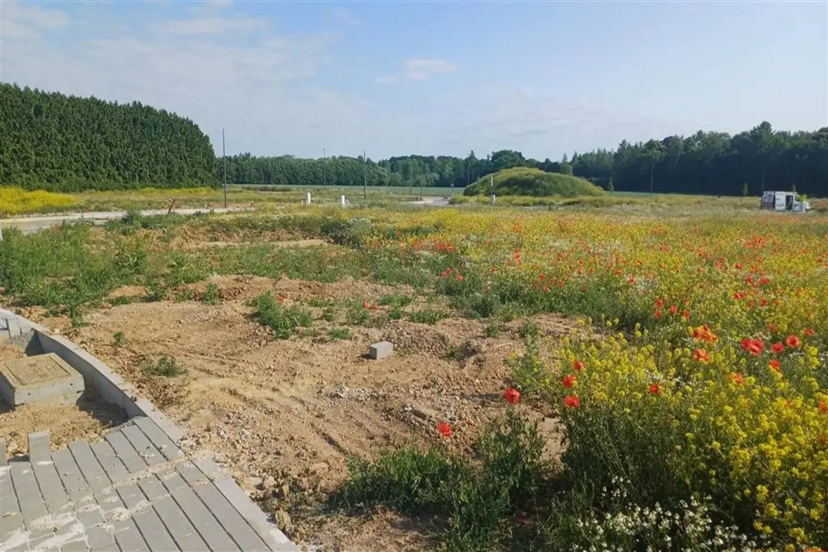 Terrain à bâtir à vendre à Eghezée 5310 185000.00€  chambres m² - annonce 609689