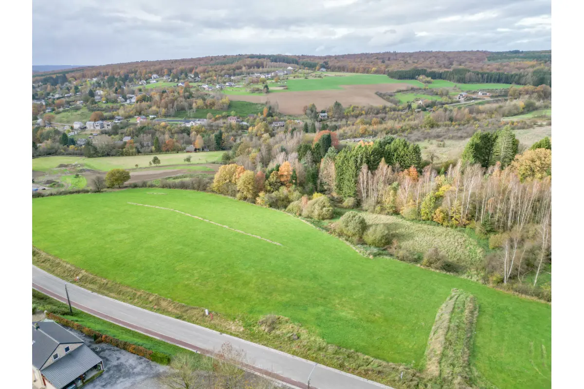 Terrain à  à Gedinne 5575 57500.00€  chambres m² - annonce 612309