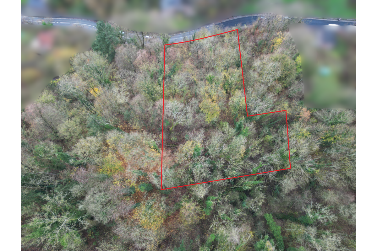 Terrain à vendre à Dinant 5500 180000.00€  chambres m² - annonce 613735