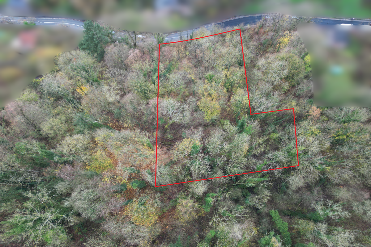 Terrain à vendre à Dinant 5500 180000.00€  chambres m² - annonce 613735