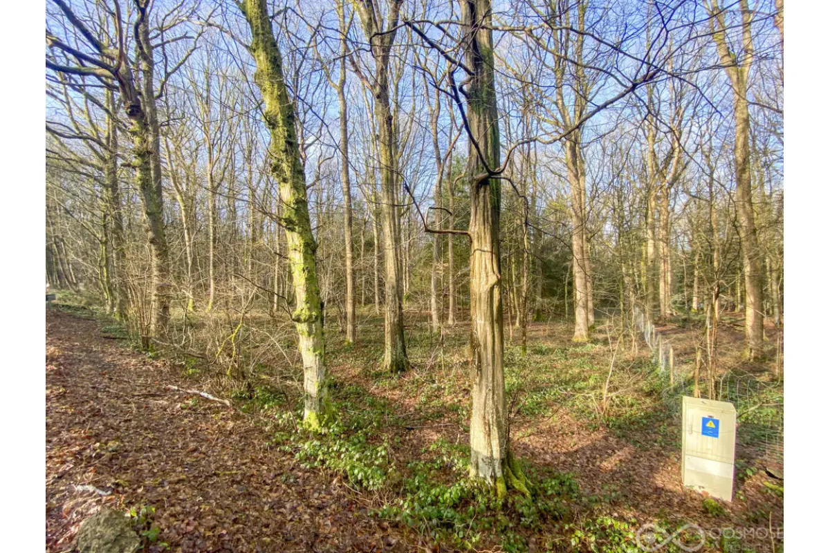 Terrain à bâtir à vendre à Brûly-de-Pesche 5660 65000.00€  chambres m² - annonce 749532