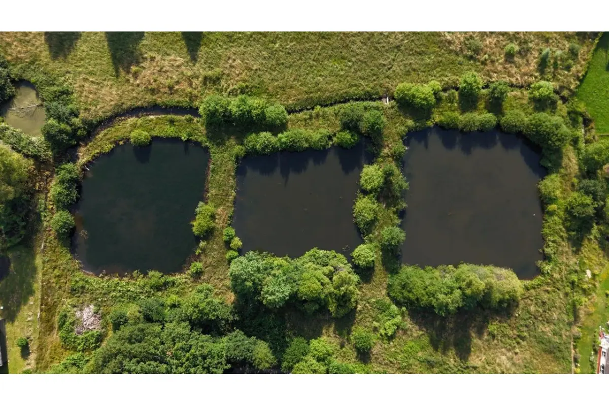 Terrain à vendre à Louette-Saint-Denis 5575 108000.00€  chambres m² - annonce 622836