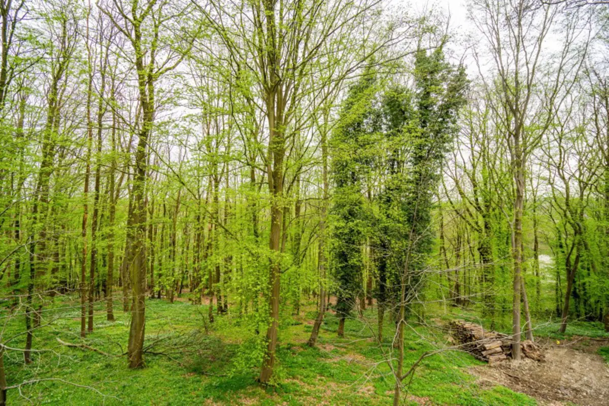 Terrain à vendre à Thy-le-Château 5651 70000.00€  chambres m² - annonce 623033