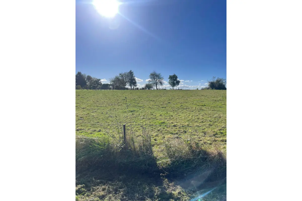 Terrain à vendre à Finnevaux 5560 130000.00€  chambres m² - annonce 628312