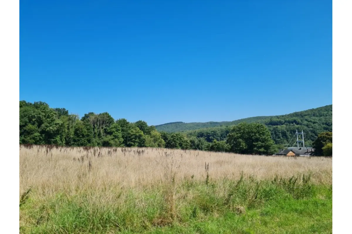 Terrain à bâtir à vendre à Agimont 5544 264240.00€  chambres m² - annonce 631839