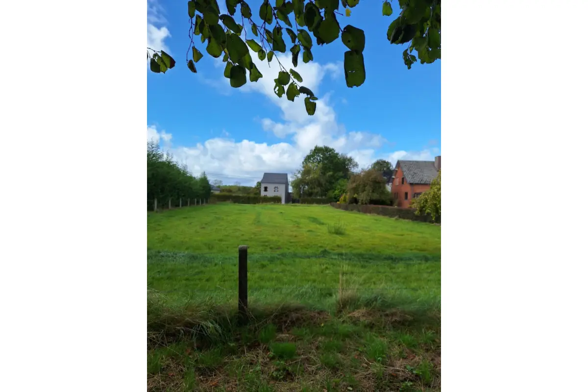 Terrain à bâtir à vendre à Cul-des-Sarts 5660 50000.00€  chambres m² - annonce 632249