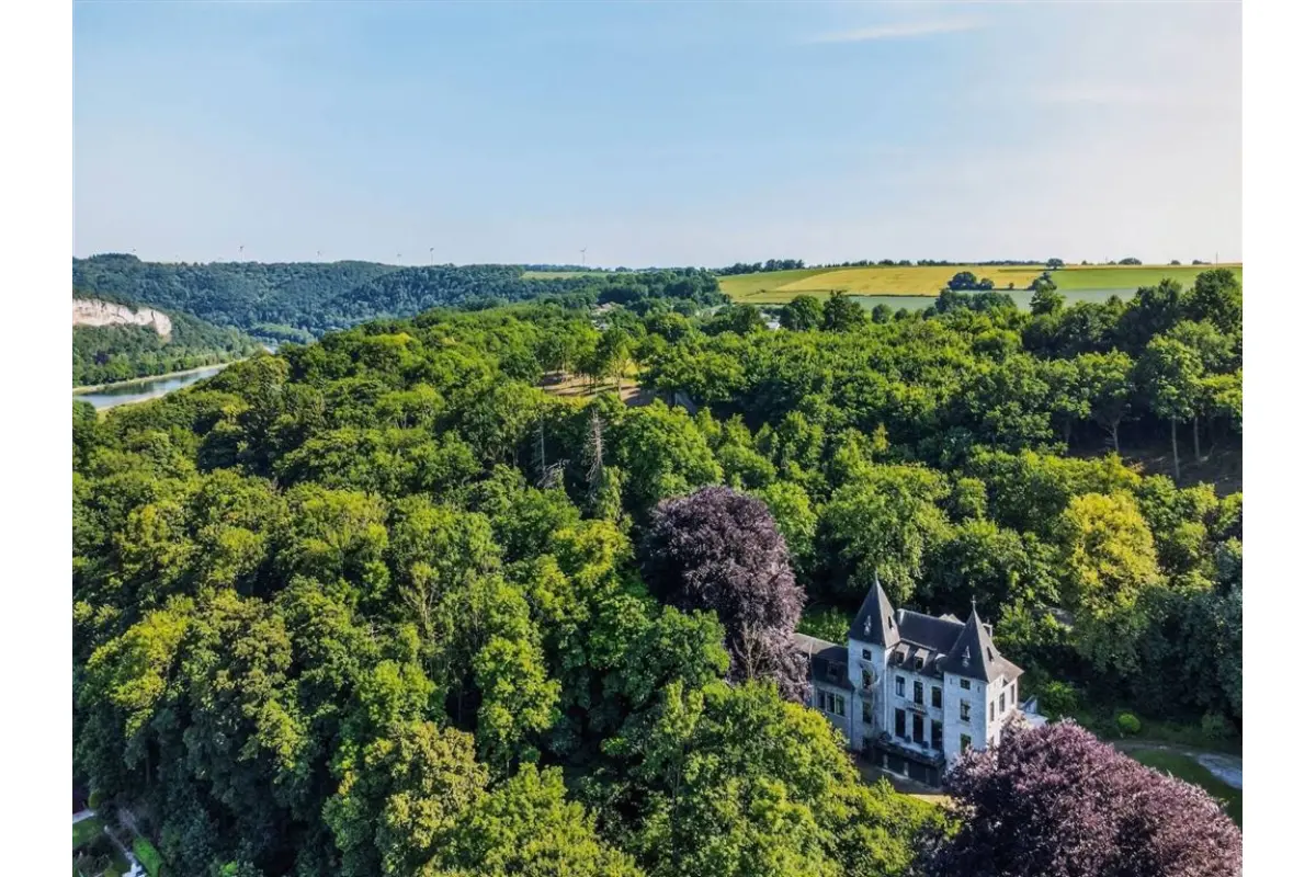 Maison à vendre à Hastière-par-Delà 5541 1650000.00€ 12 chambres 868.00m² - annonce 637500