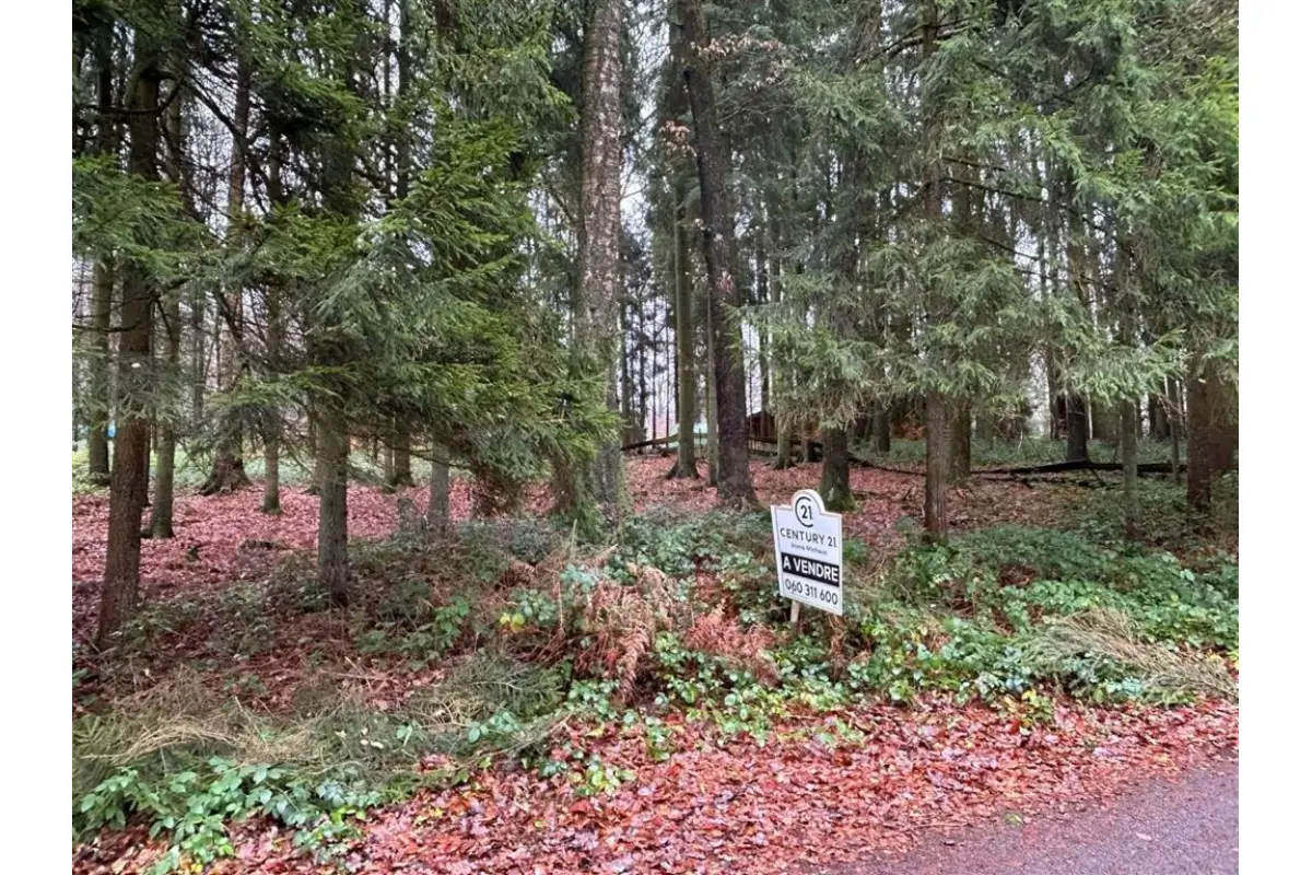 Terrain à vendre à Brûly-de-Pesche 5660 30000.00€  chambres m² - annonce 638256