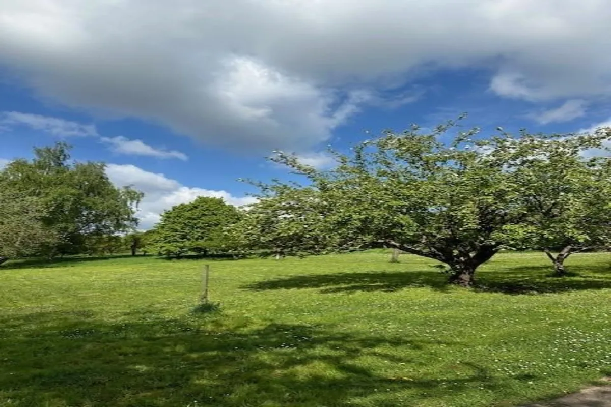 Terrain à vendre à Beez 5000 105000.00€  chambres m² - annonce 638970