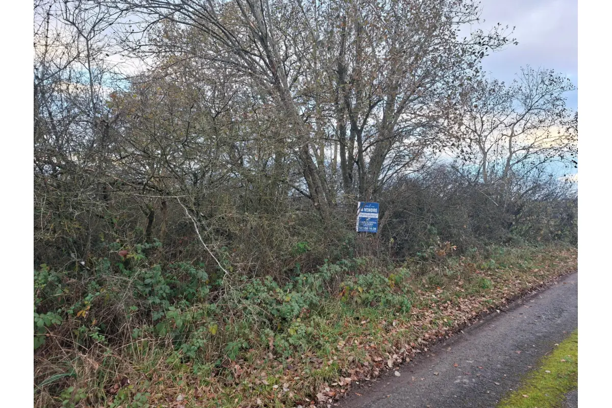 Terrain à vendre à Winenne 5570 17500.00€  chambres m² - annonce 641344