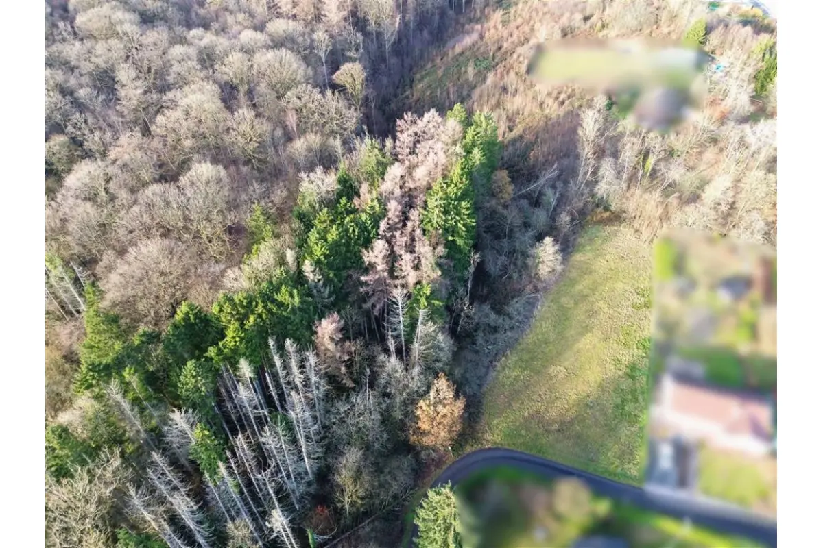 Terrain à vendre à Neuville 5600 70000.00€  chambres m² - annonce 647143