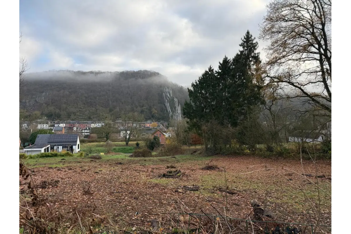 Terrain à vendre à Dinant 5500 75000.00€  chambres m² - annonce 647334