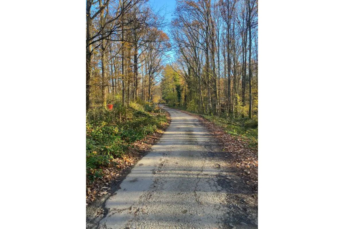 Terrain à bâtir à vendre à Neuville 5600 42000.00€  chambres m² - annonce 650640