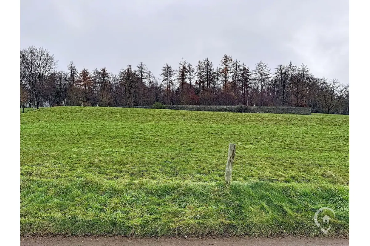 Terrain à bâtir à vendre à Naomé 5555 85000.00€  chambres m² - annonce 652493